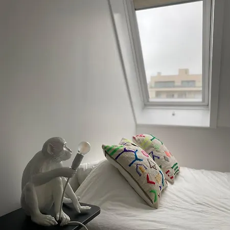 Moderne Apartamento Nieuwpoort